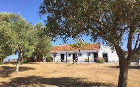 Casas Na Vinha - Monte Da Casteleja, Wine Estate - Eco Turismo Rural Vakantiehuis